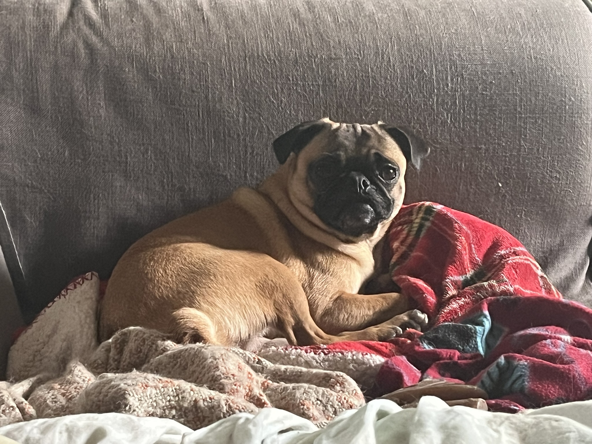 Gathering native seeds in Kane County Forest preserves with Dundee Crown students